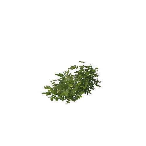 Plant 53_LOD_0